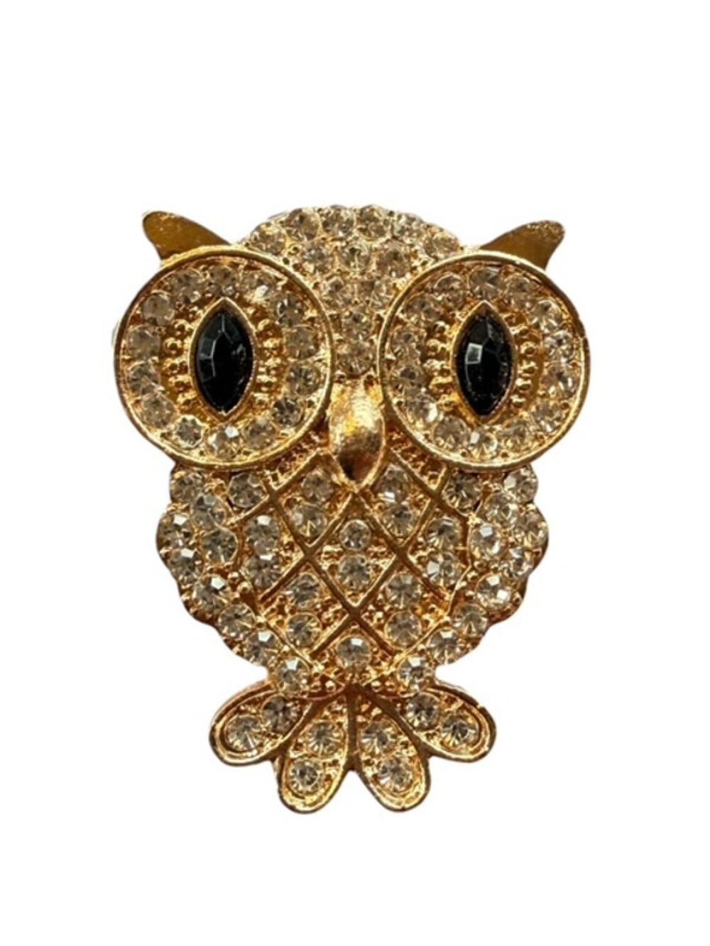Enchanted Golden Wisdom Owl Brooch